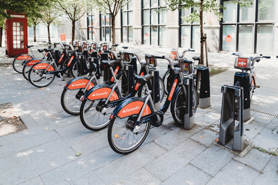 Waarom steeds meer mensen kiezen voor fietsverhuur in Arnhem