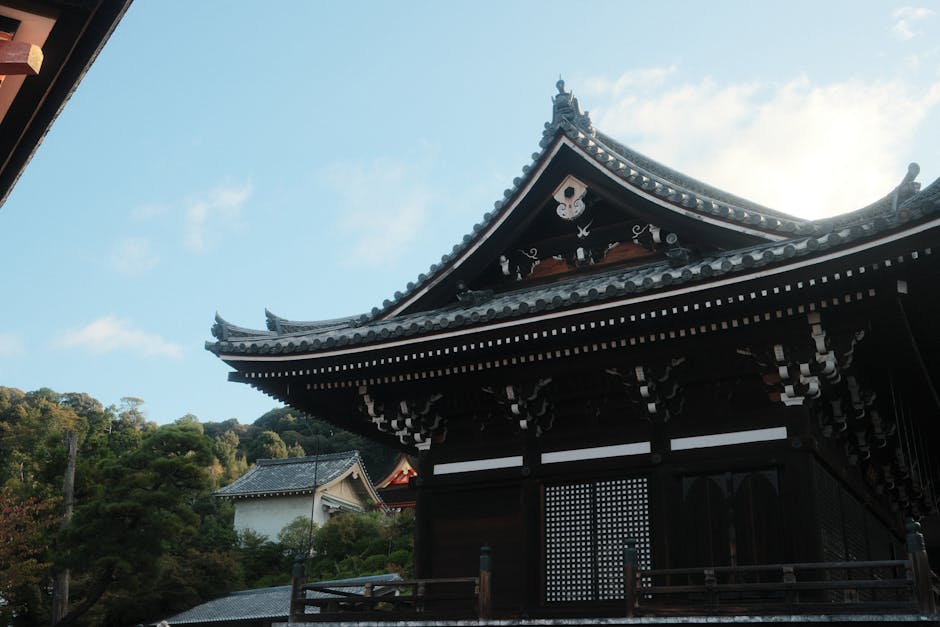 Dakinspecties foto voor 3 dingen waar ik op moet letten bij een dakinspectie in Arnhem