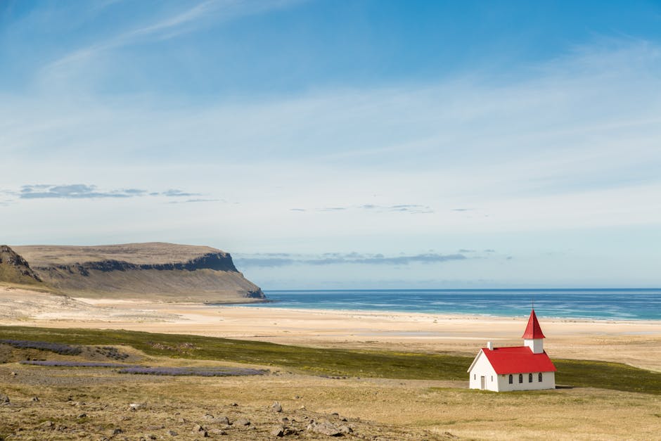 8 tips om te doen in de zomer foto voor